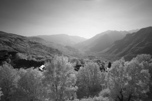 IR Photography: The Beginner’s Guide – True Color Infrared
