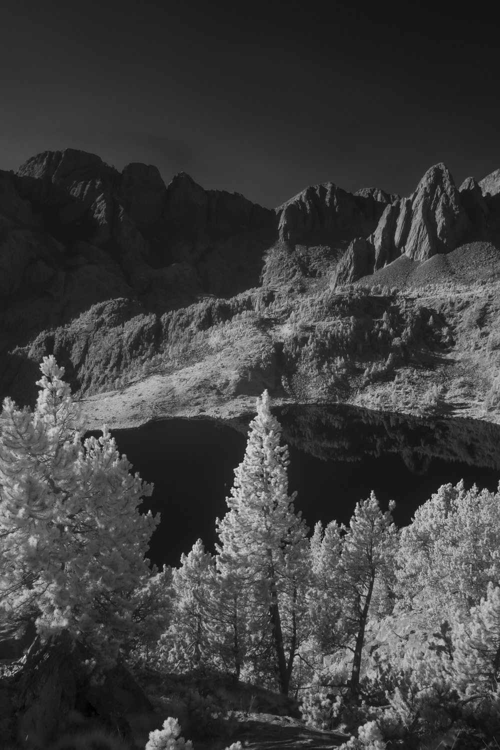 IR Photography: The Beginner’s Guide – True Color Infrared