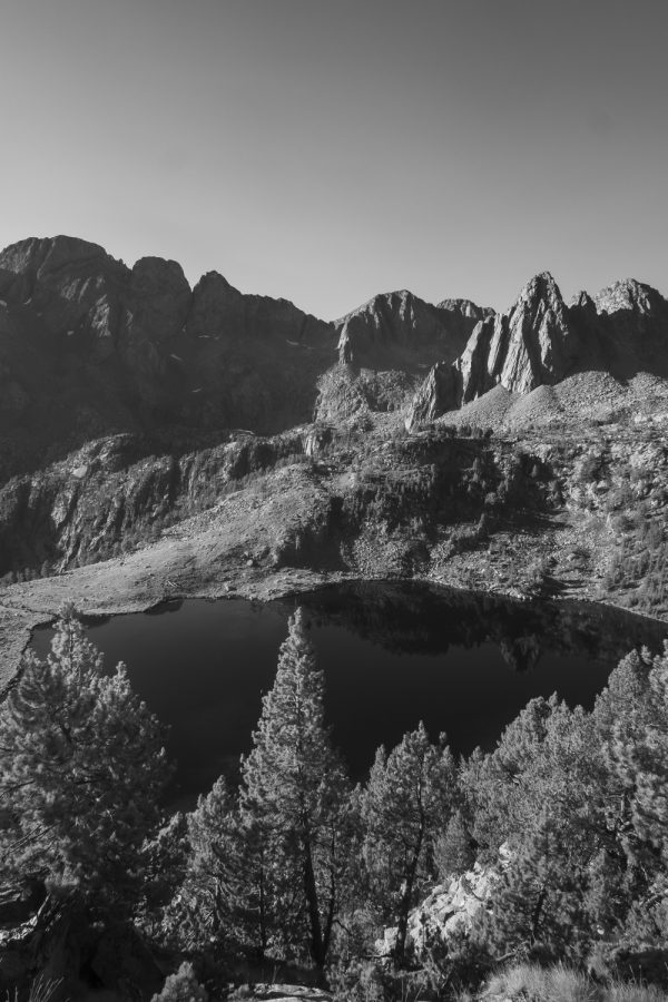 IR Photography: The Beginner’s Guide – True Color Infrared