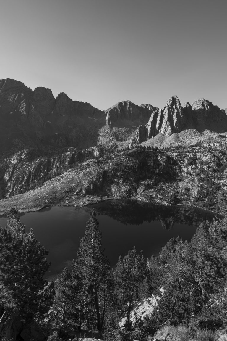 IR Photography: The Beginner’s Guide – True Color Infrared